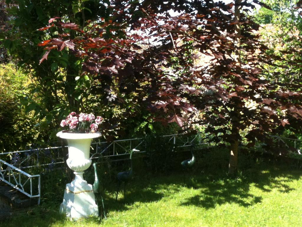 Charlemont House Moy Bed & Breakfast Exterior foto