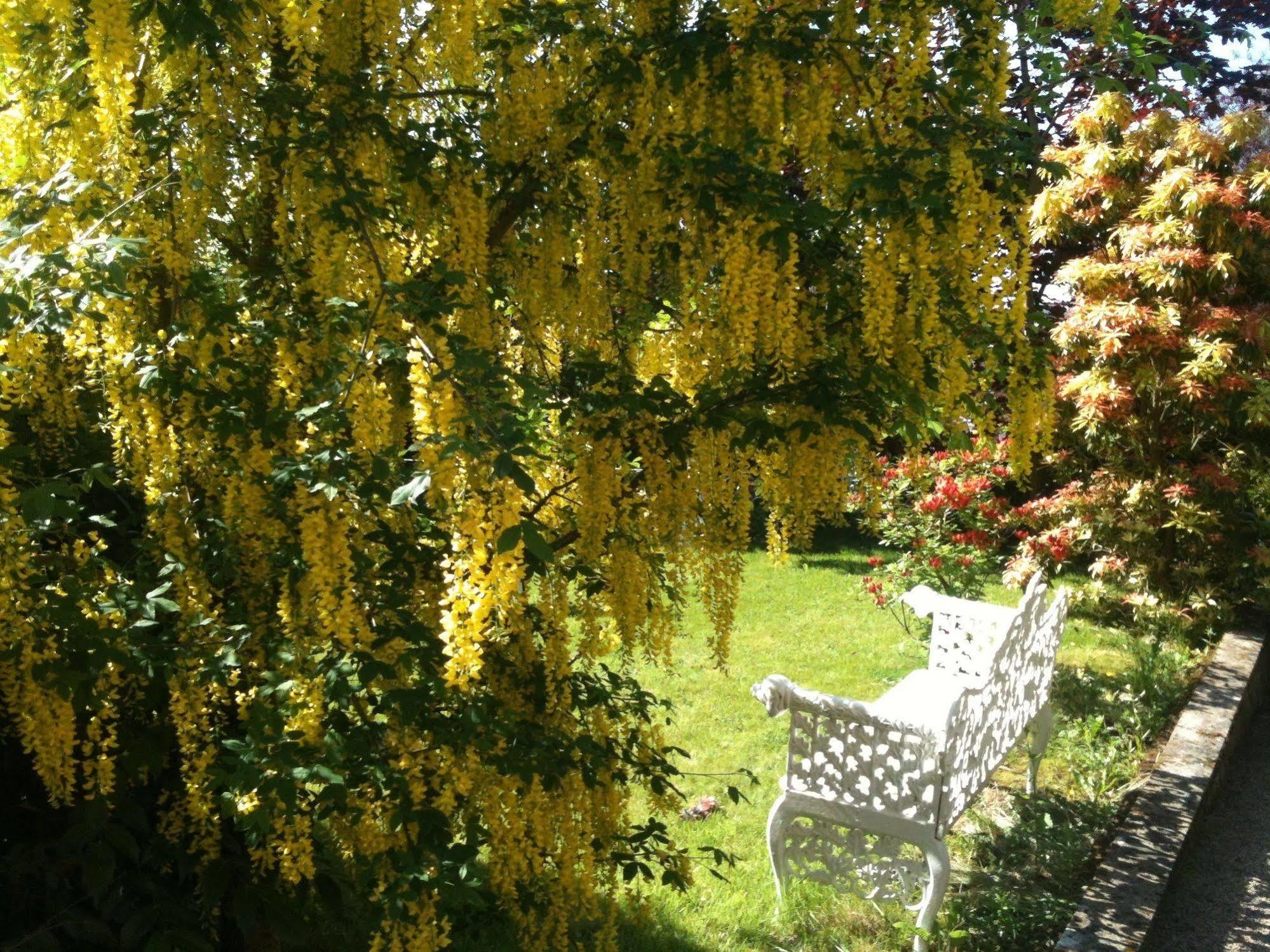 Charlemont House Moy Bed & Breakfast Exterior foto